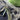 Light Green Misc Ribbon Bundle
