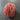100% New Zealand Wool Macrame & Weaving Yarn - Bubblegum - 4oz Cake