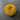 100% New Zealand Wool Macrame & Weaving Yarn - Sunflower - 4oz Cake