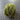 100% New Zealand Wool Macrame & Weaving Yarn - Pesto - 4oz Cake