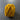 100% New Zealand Wool Macrame & Weaving Yarn - Goldenwheat - 4oz Cake