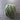 100% New Zealand Wool Macrame & Weaving Yarn - Pine - 4oz Cake