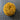 100% New Zealand Wool Macrame & Weaving Yarn - Goldenrod - 4oz Cake
