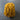 100% New Zealand Wool Macrame & Weaving Yarn - Goldenrod - 4oz Cake