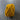 100% New Zealand Wool Macrame & Weaving Yarn - Marigold - 4oz Cake