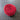 100% New Zealand Wool Macrame & Weaving Yarn - Red Rose - 4oz Cake