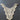 Off White Crochet Applique or Collar - Shanaya
