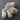 Trendsetter Yarns - Victory Bundle - Flesh