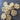 Bundle of Large Size Loofah Slices for Soap Making / Bath & Body Crafts