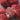 Loops & Threads Charisma Tweed - Burgundy