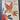 Applique Takes Wing - Exquisite Designs for Birds, Butterflies, and More - Ane Townswick