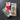 Specialty Elastic Bundle