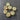 Set of Flat Gemstone Beads