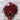 Glossy Red & Green Wooden Beads