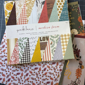Park Lane (Used) Paper Pad + Bonus Papers