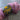 World of Yarn Malaga Print - Color #06 - 3.7oz Skein
