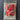 Simple Stitch Plastic Canvas Initialed Keepsake Box by Sew Simple (1983)