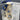Vintage Freemason Needlepoint Bookmark - Unfinshed Project