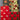 Vintage Wrapping Paper Bundle - #10
