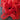 Soft Red Lace - 10-yards